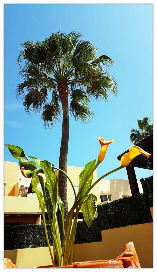 Lur De La Playa Apartment Corralejo Exterior photo